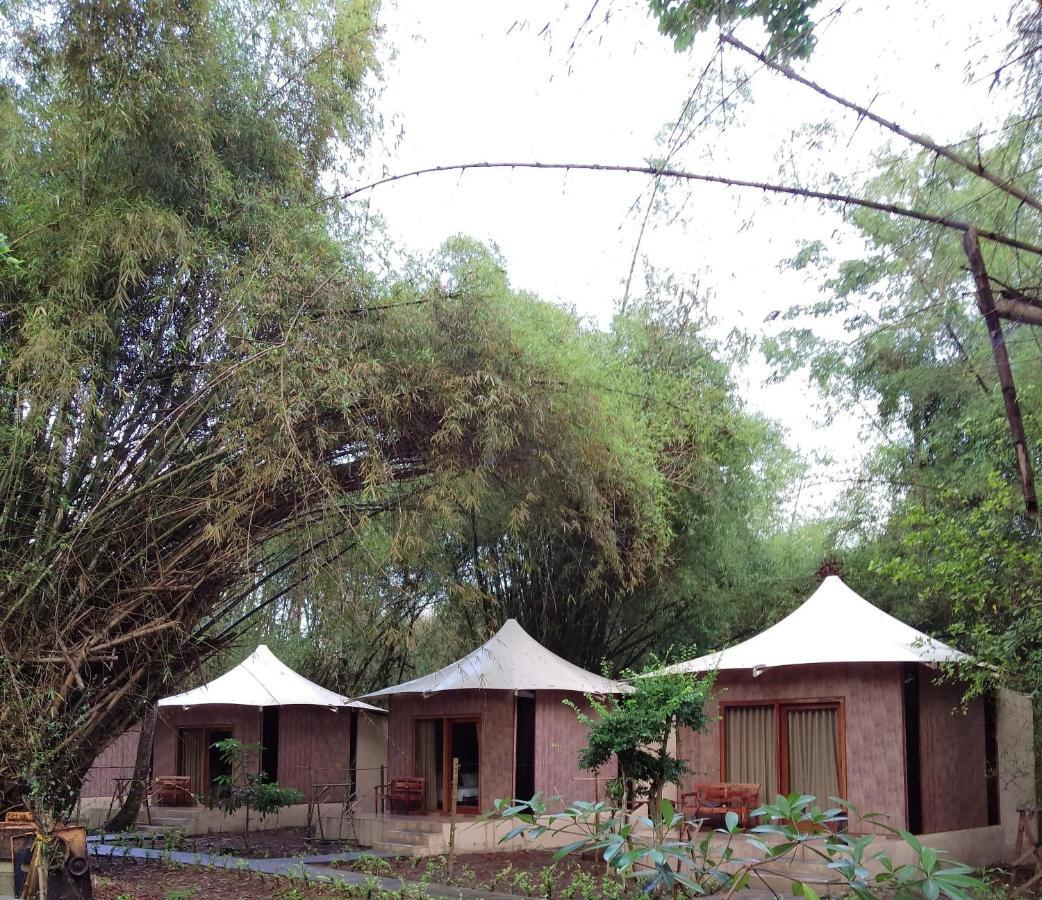 Jawa Jiwa G-Land Resort Dadapan Exterior photo