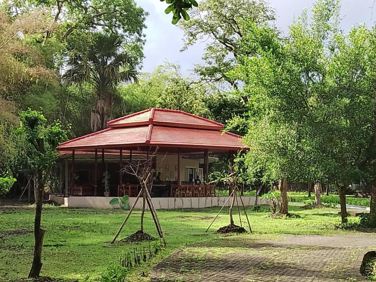 Jawa Jiwa G-Land Resort Dadapan Exterior photo